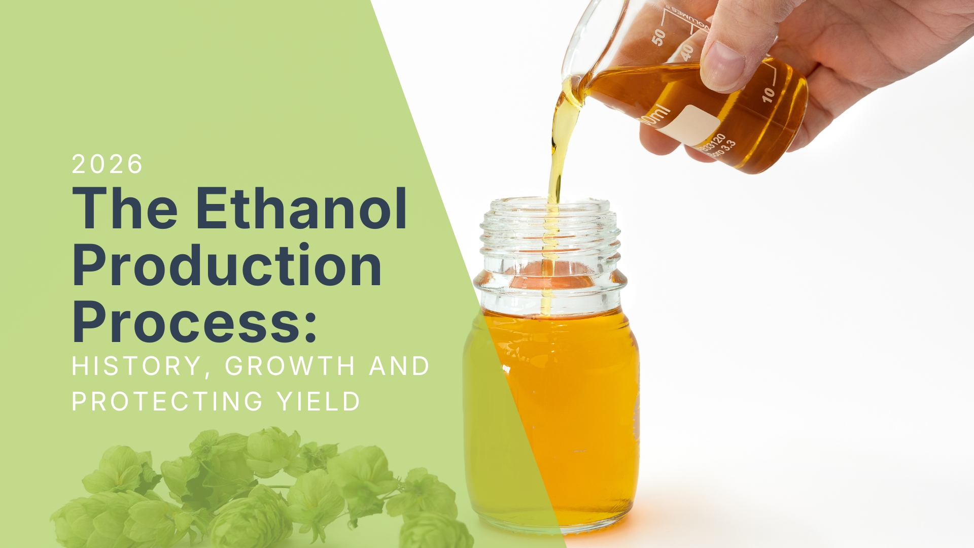 The Ethanol Production Process: Overview, Growth and Protecting Yield in 2026