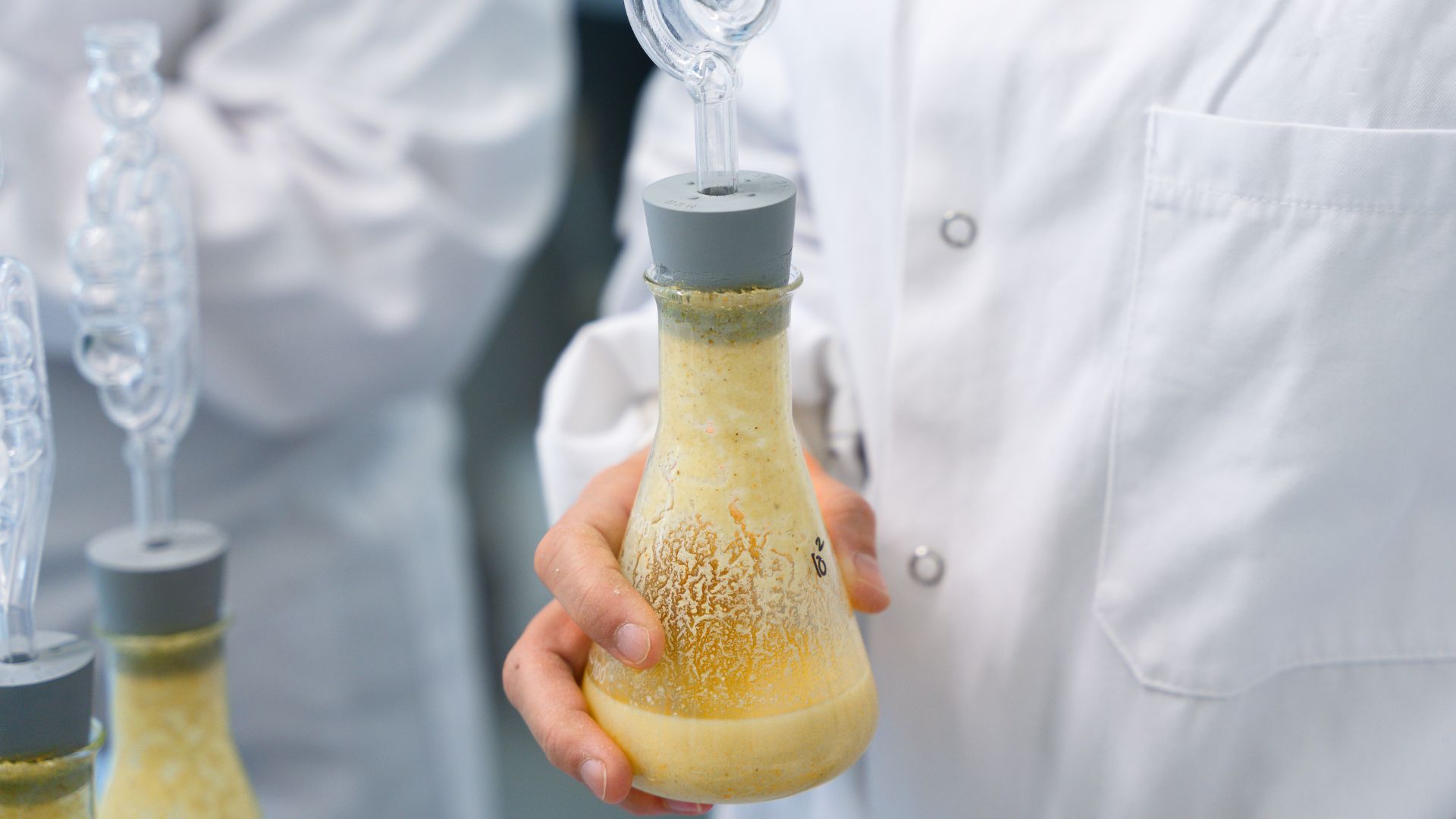 Protecting Thick Juice Sugar Quality With Hop Beta Acids