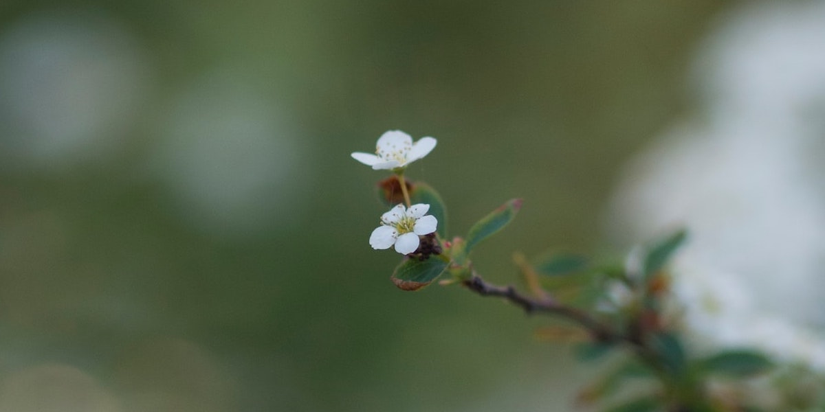 Everything is a small thing