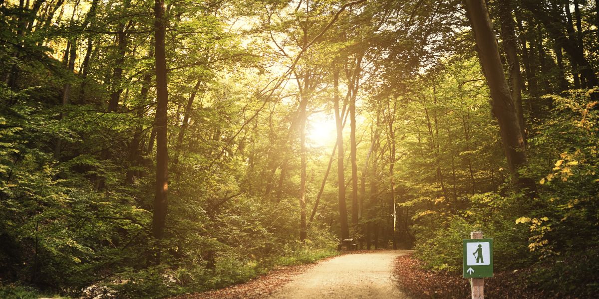 Jesus is for me: The key to paying attention