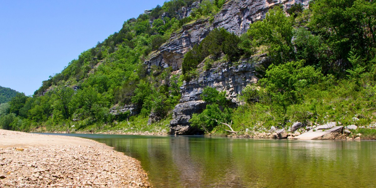 Summer Reflections and... onions?