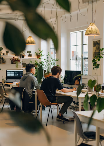 Two young men working on computers in a bright, plant-filled office with large windows and hanging lamps.