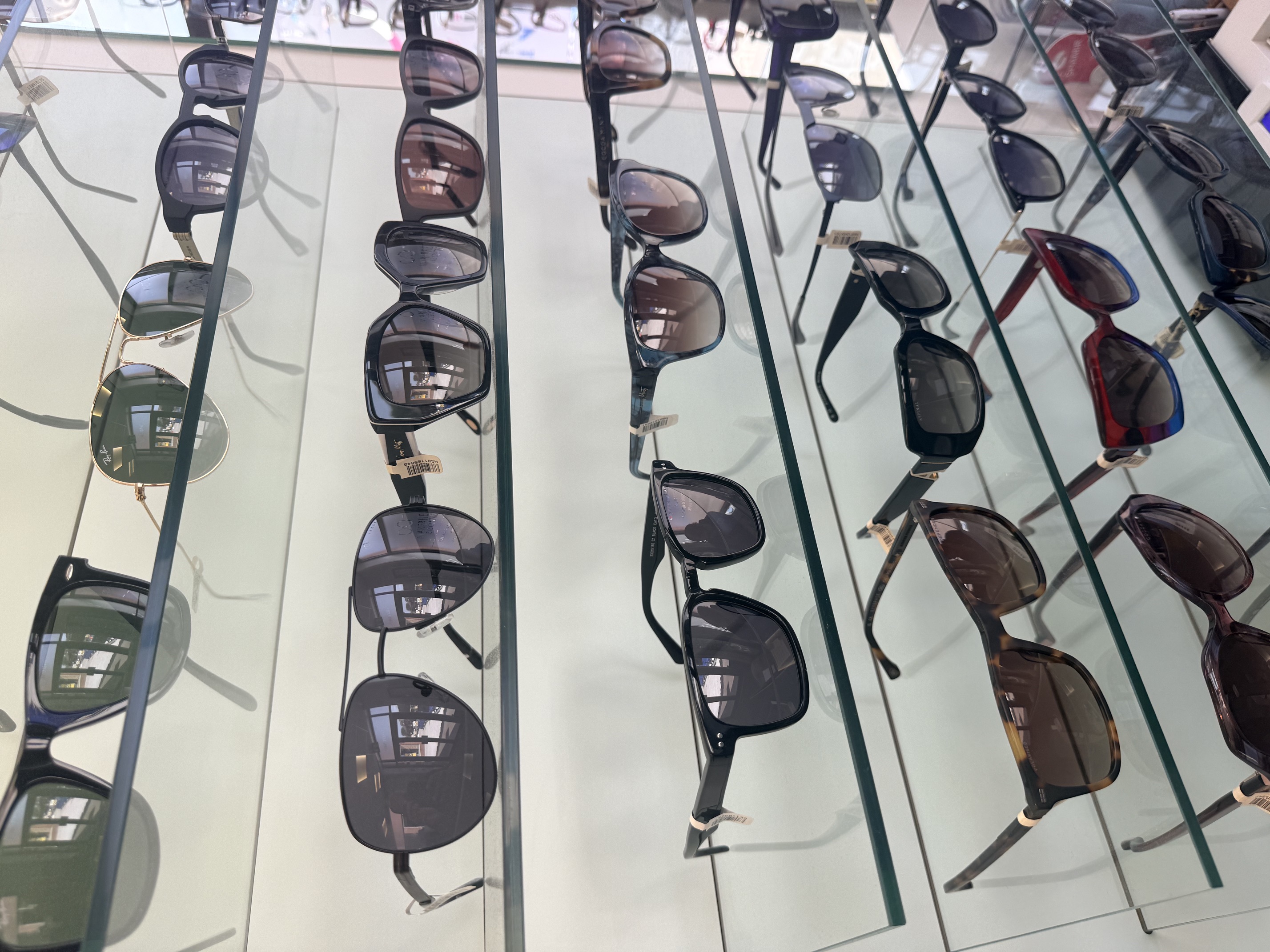 Display of multiple designer sunglasses arranged on glass shelves in retail store
