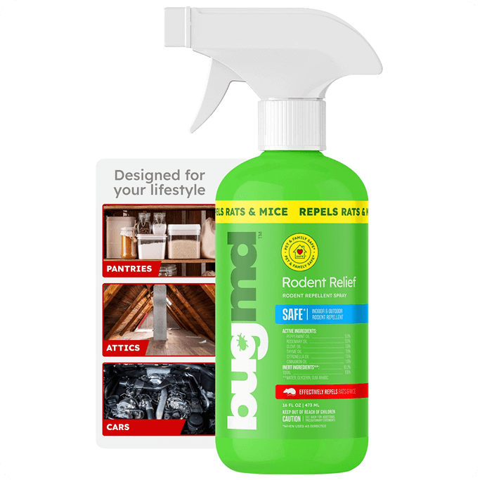 Rodent Relief Spray image 6