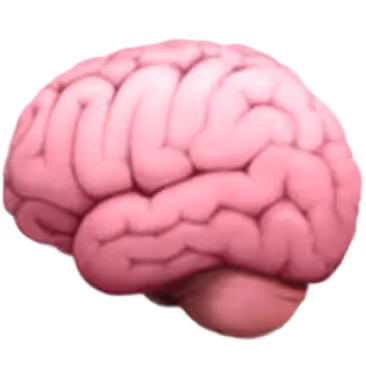 Illustrazione di un cervello umano rosa con dettagli delle circonvoluzioni cerebrali.