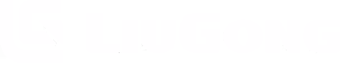 LiuGong 