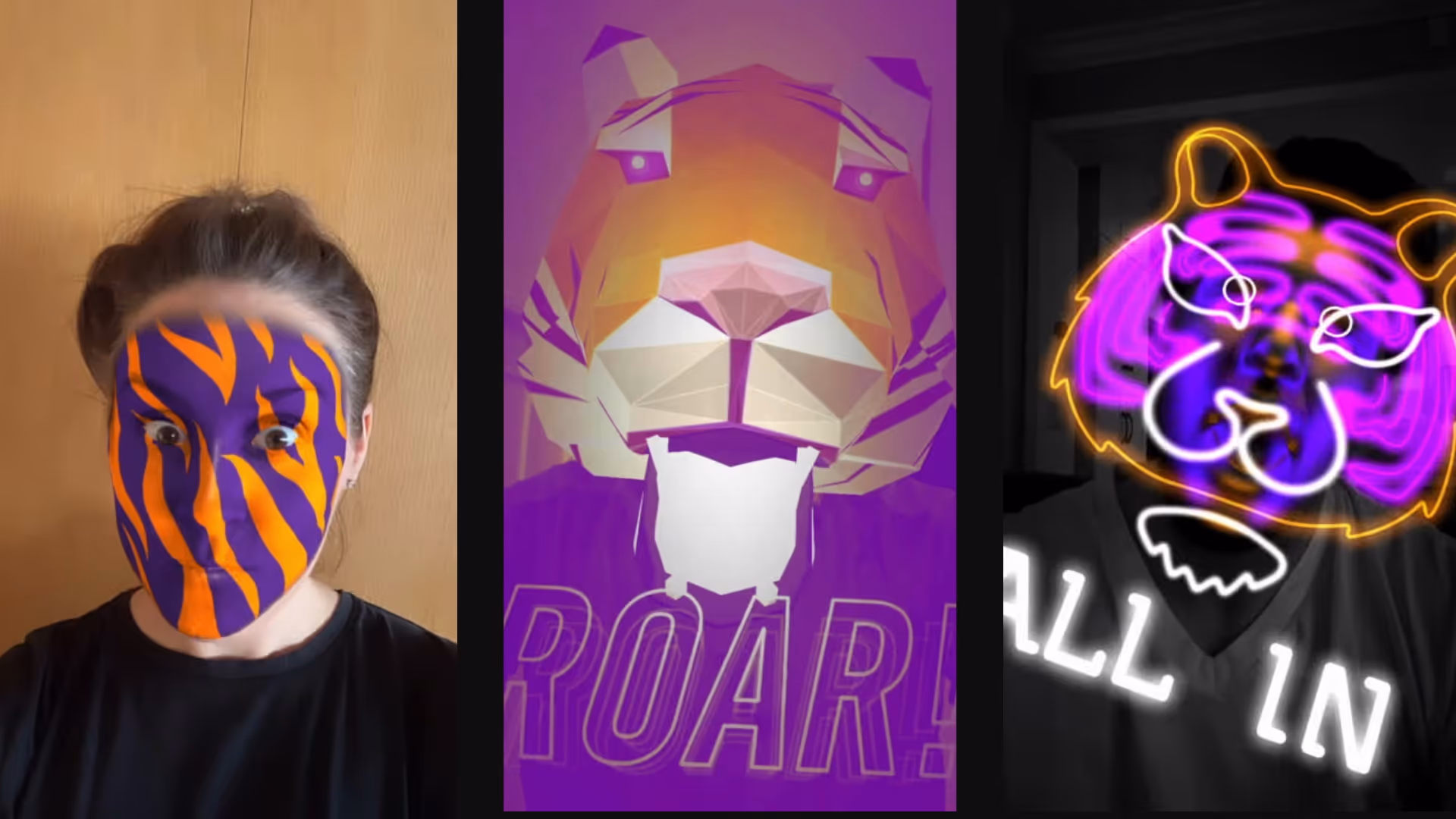 Clemson University AR Insta-Filter