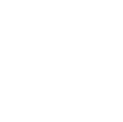 White surveillance Camera icon