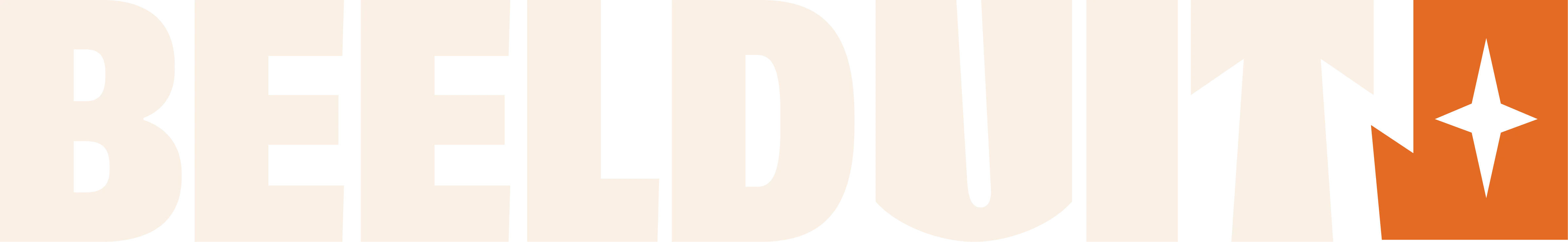 Beelduit logo — klantcase merkidentiteit en huisstijl ontwikkeld door Beeldmerk