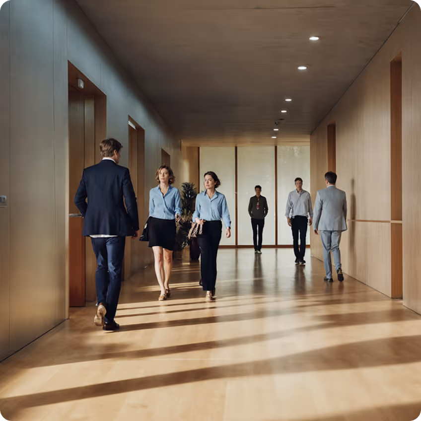 energy sector project management and process consulting