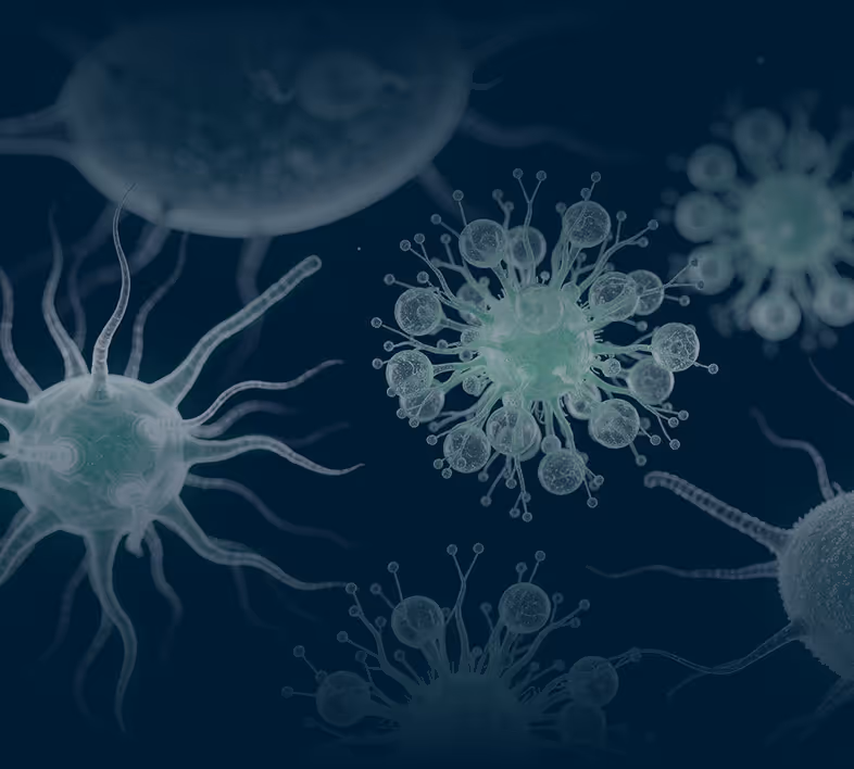 Close-up of translucent virus particles with spike proteins on a dark blue background.