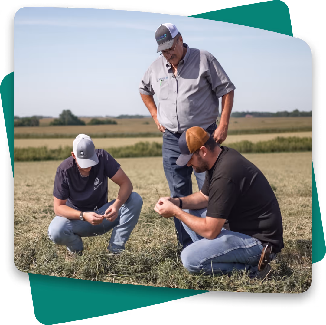 Three men in a field examining plants, two kneeling and one standing, with rural landscape behind them.