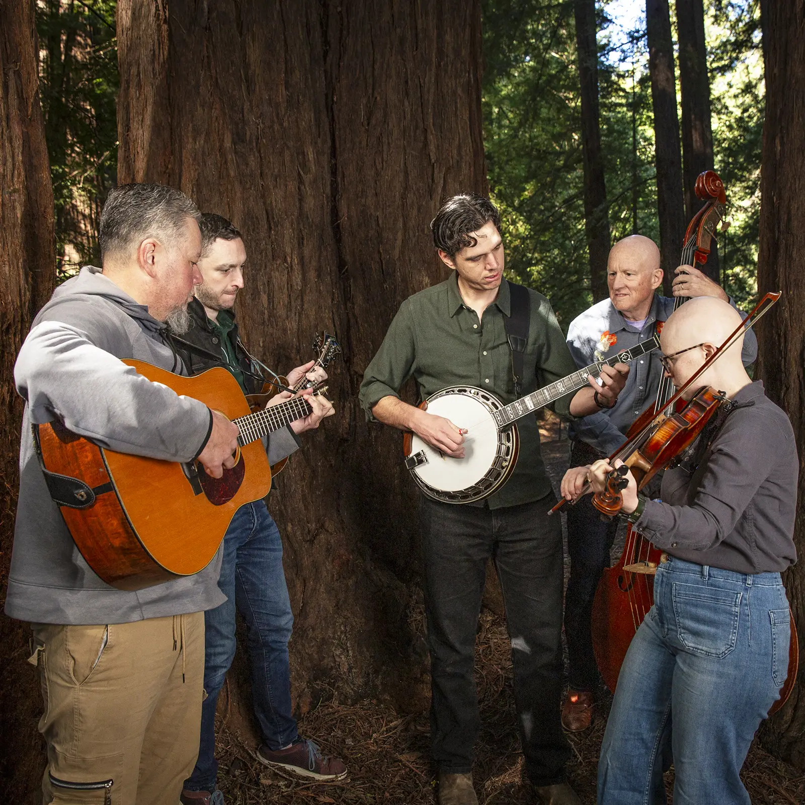 Critical Grass playing bluegrass music together in the woods