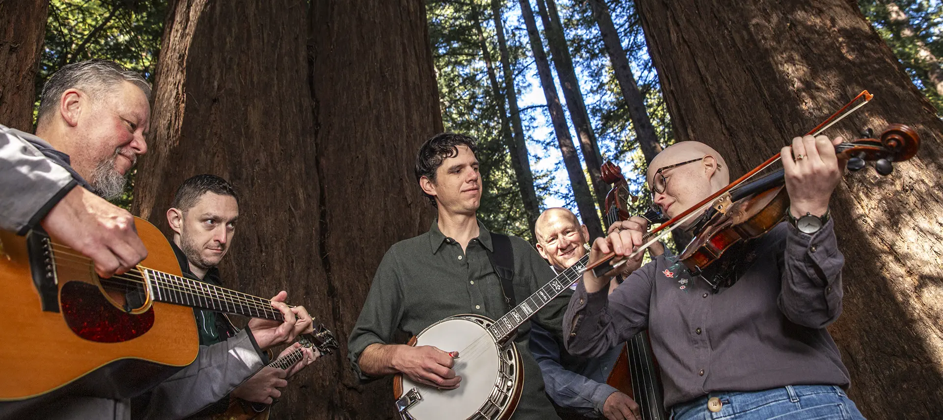 Critical Grass band playing bluegrass music together in the forest