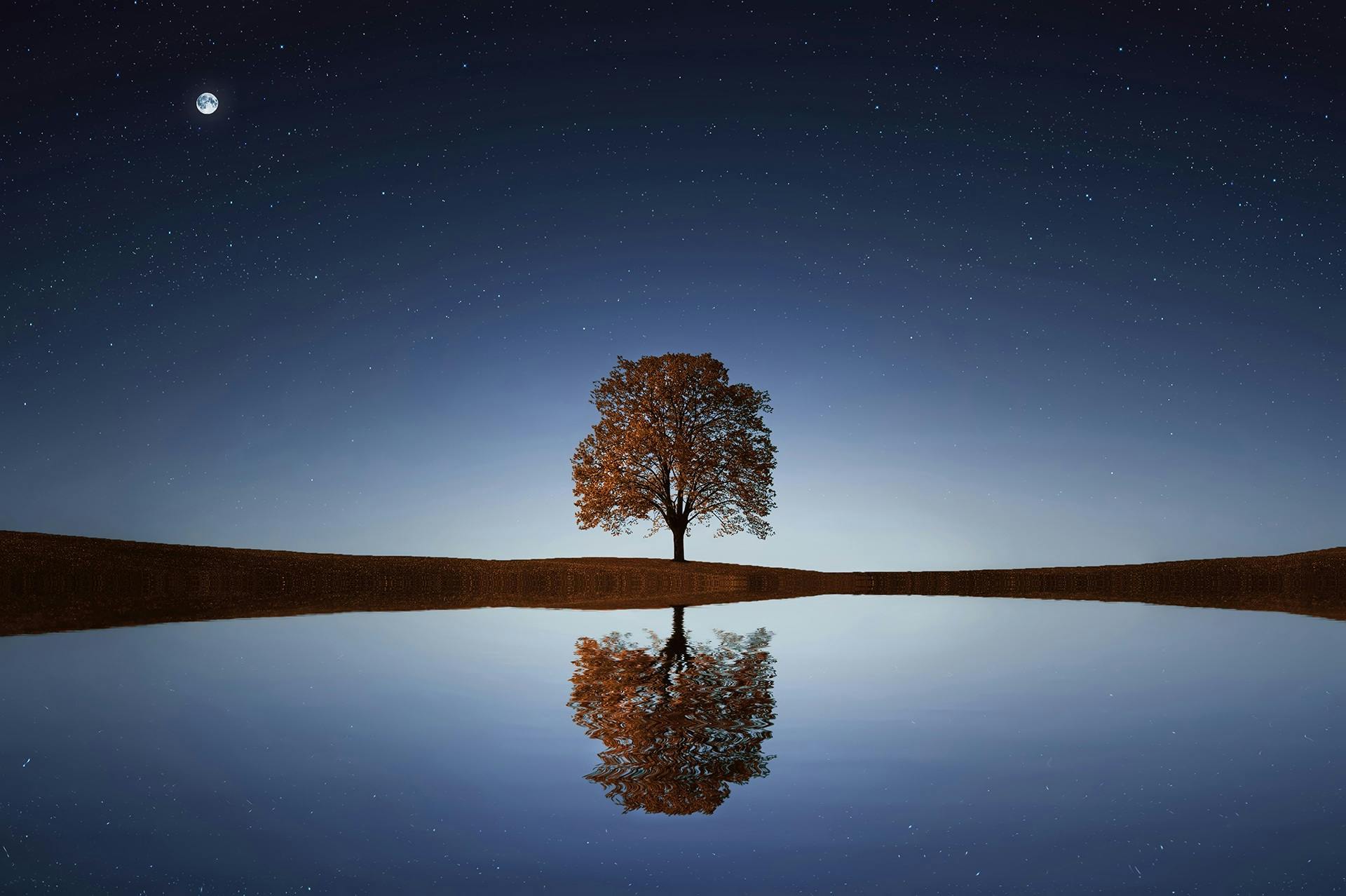 Solitary tree with autumn leaves reflected in a calm body of water under a starry night sky with a bright full moon.