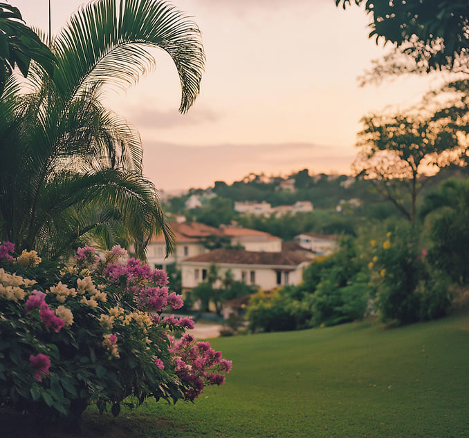 Lush garden with flowering shrubs and palm trees overlooking a residential area during sunset.