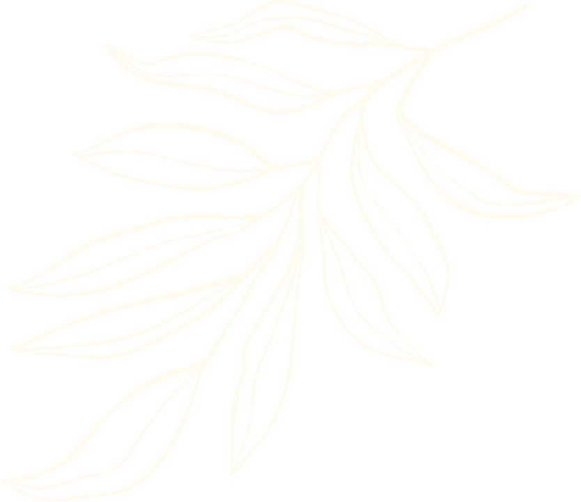 Stylized yellow outline of a leafy branch with elongated leaves on a transparent background.