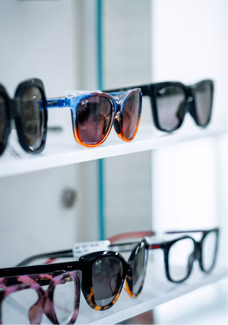 Close-up of various stylish sunglasses displayed on white shelves in a store.