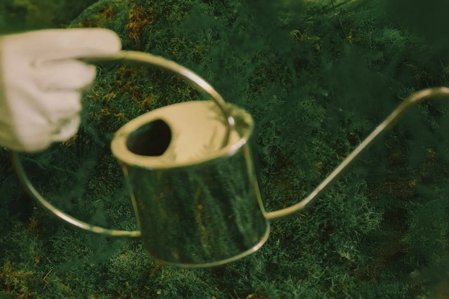 Hand holding a small metallic watering can over green moss.