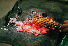 Food Image