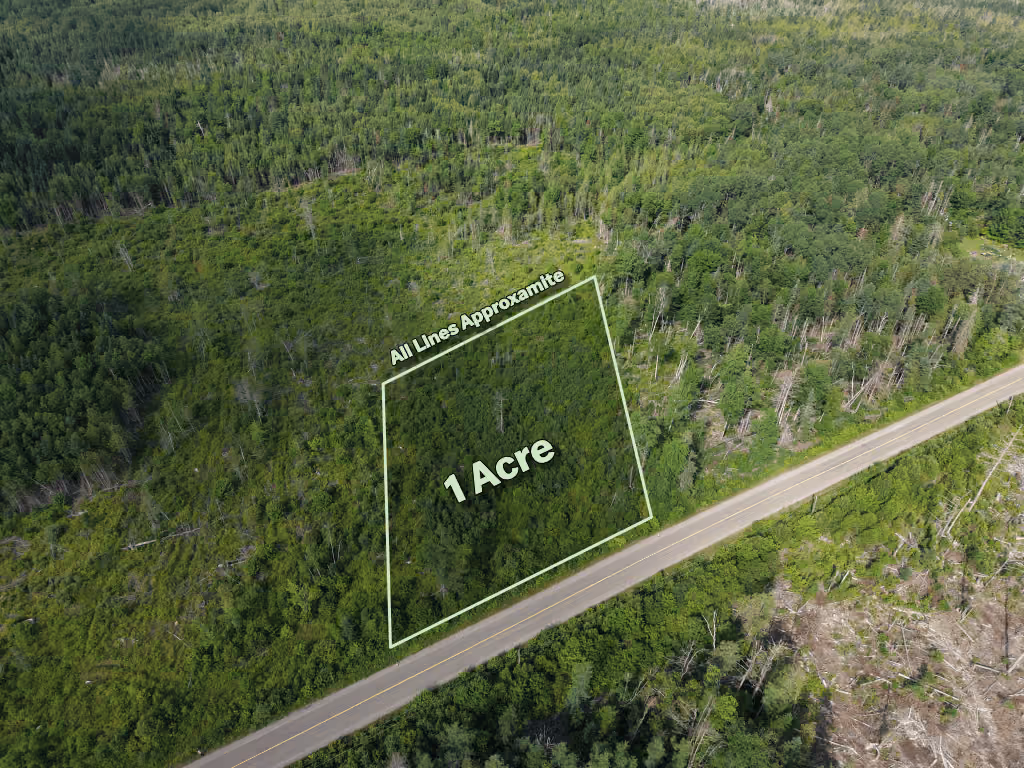 Aerial view of a forested area with a rectangular 1-acre plot marked near a roadside, labeled 'All Lines Approximate'.