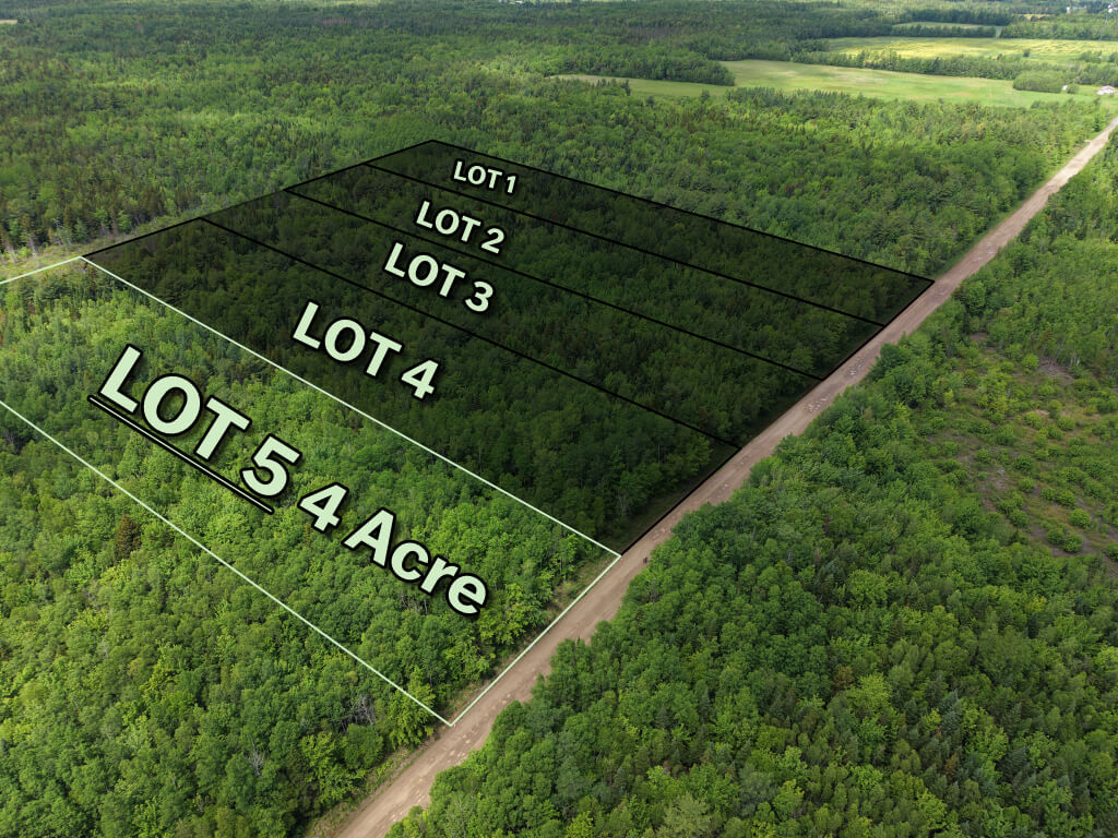 Angled view of forested land parcel near Gerasime Gallant Road