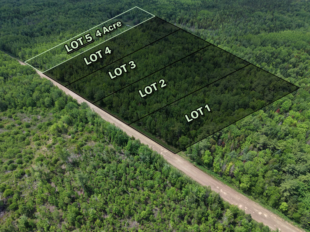 Wooded subdivision lot boundary view in Saint-Ignace, NB