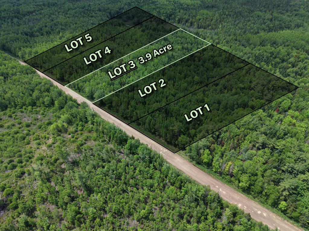 Right angle view of forested land parcel near Saint-Ignace