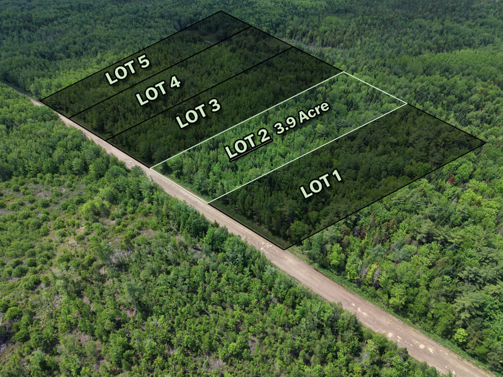 Right angle view of forested land parcel near Saint-Ignace