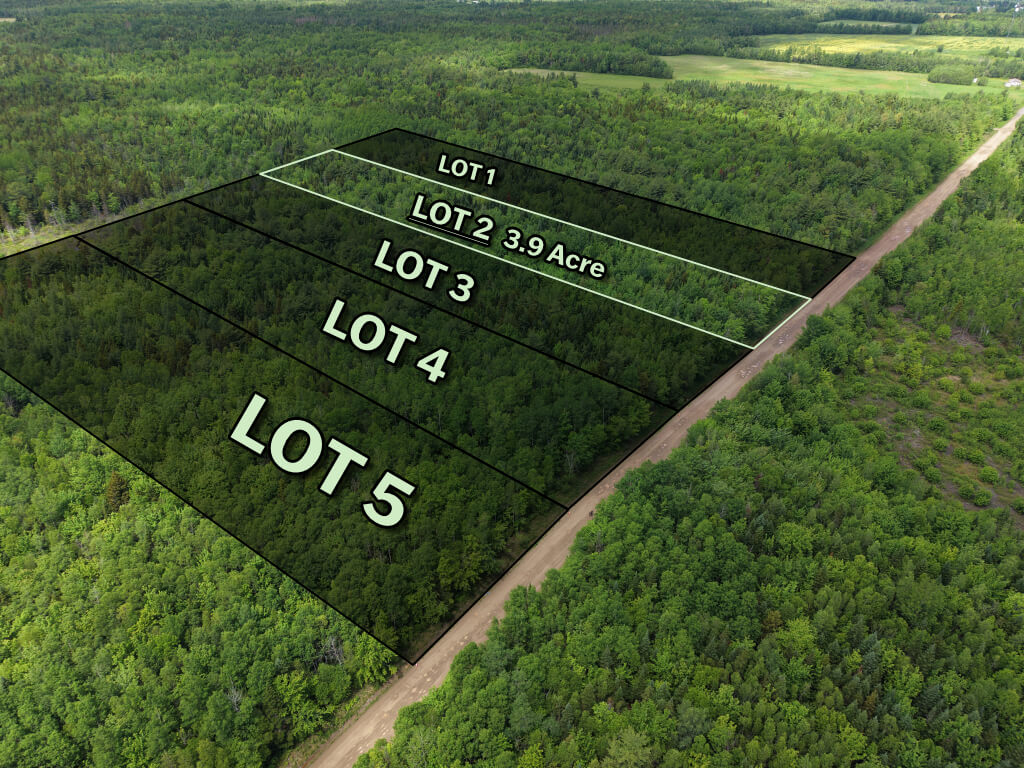 Left angle view of wooded subdivision lot in Saint-Ignace
