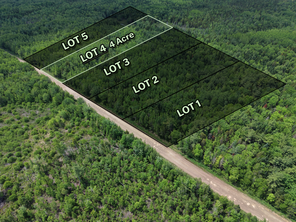 Right angle view of forested land parcel near Saint-Ignace