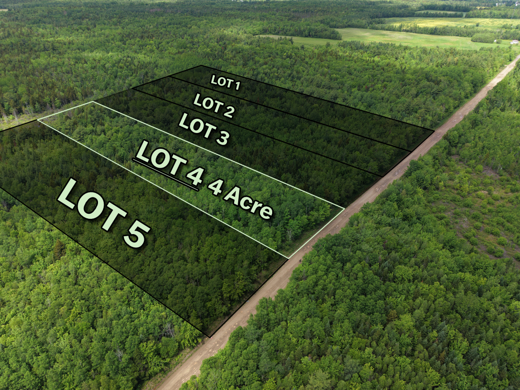 Left angle view of wooded subdivision lot in Saint-Ignace