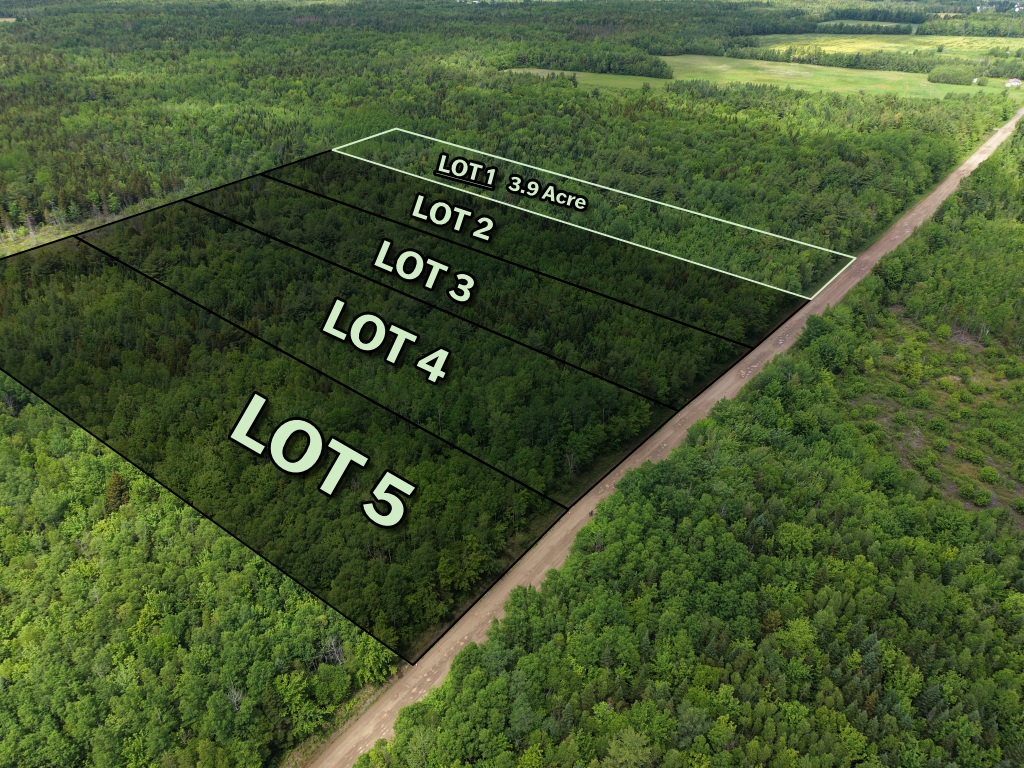 Left angle view of wooded subdivision lot in Saint-Ignace