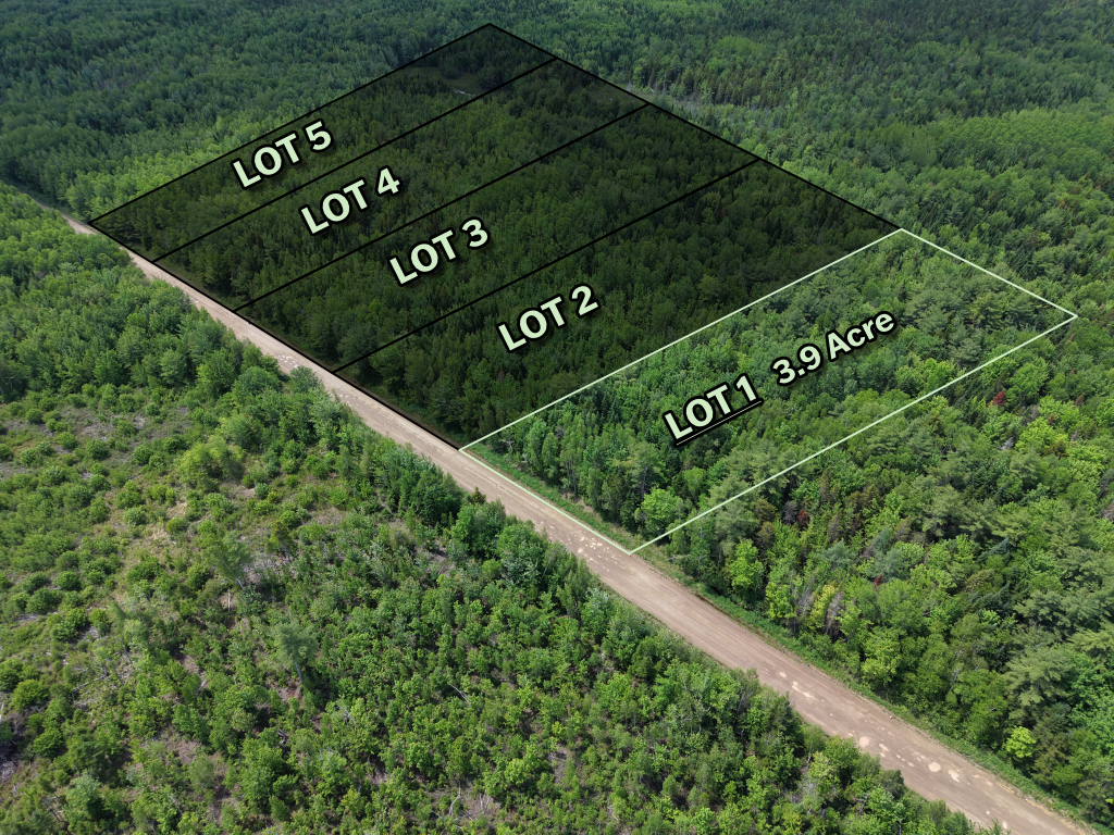 Right angle view of forested land parcel near Saint-Ignace