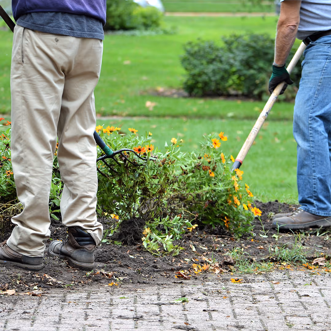 Residential flower bed maintenance landscaping company