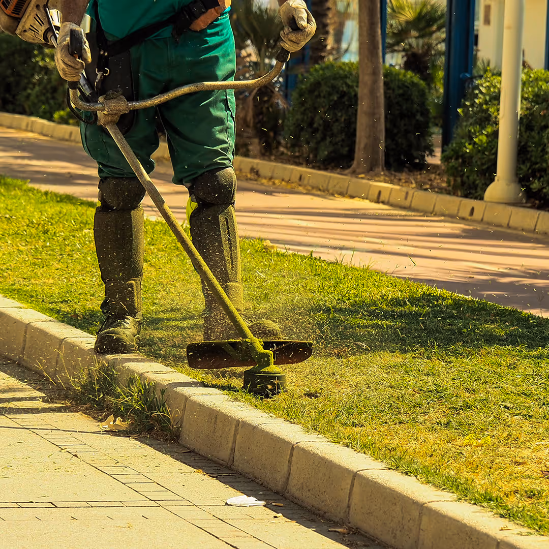 Lawn edging and trimming service near me South Shore MA
