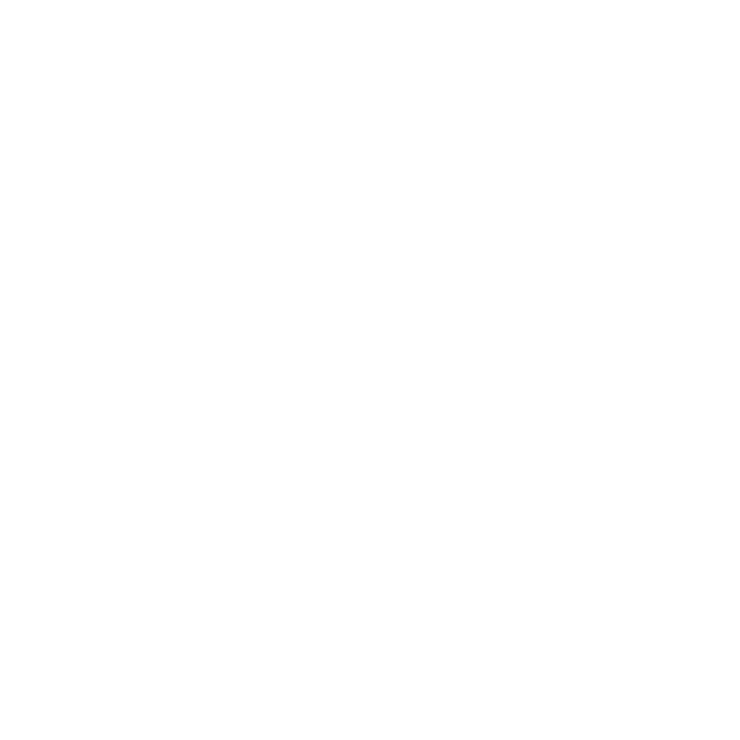 whatsapp logo white