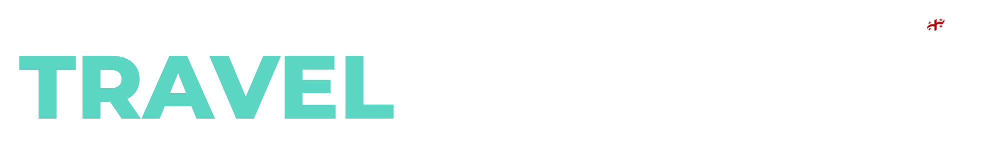 logo of company TravelMestia