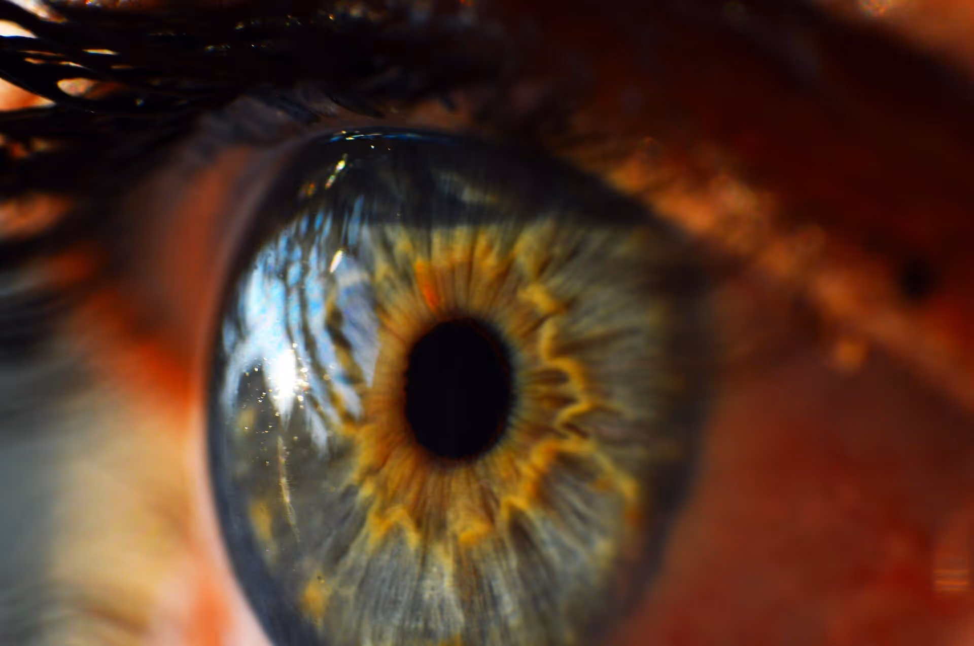 close-up of human eye