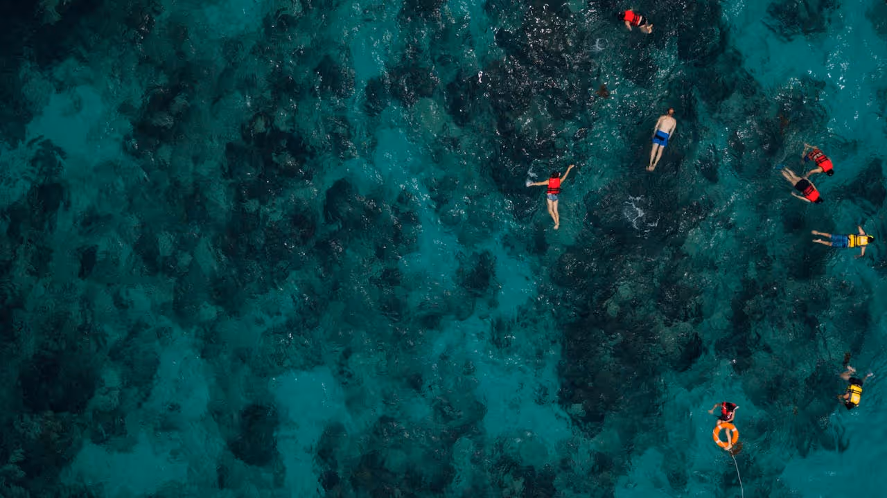 snorkeling around coral reef