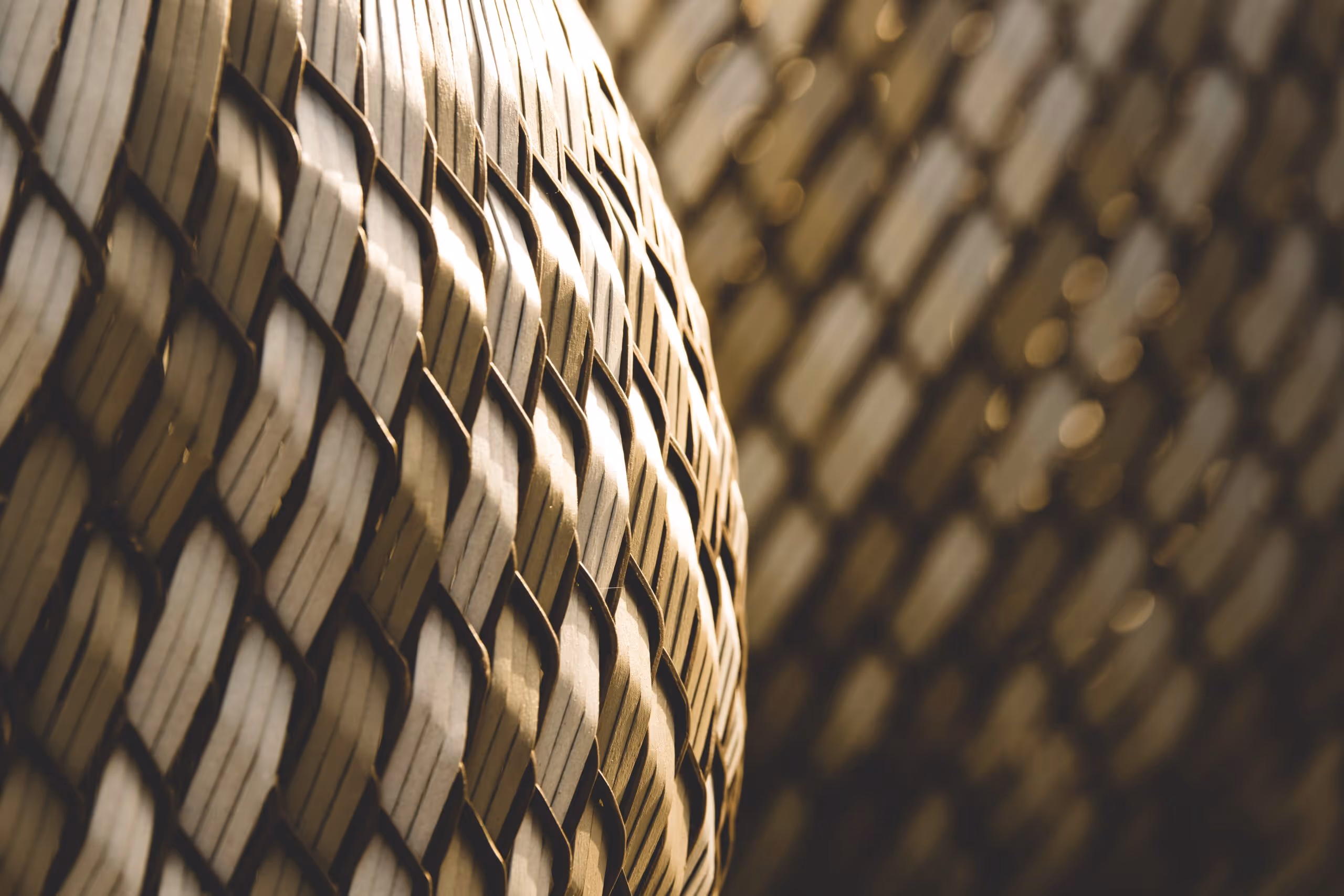 mesh