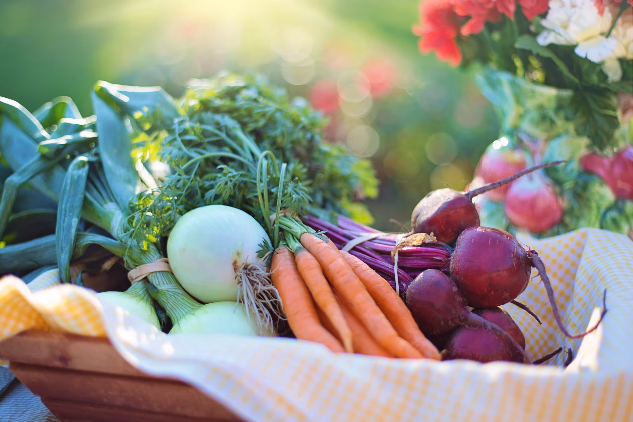 Freshly picked vegetables in a basket