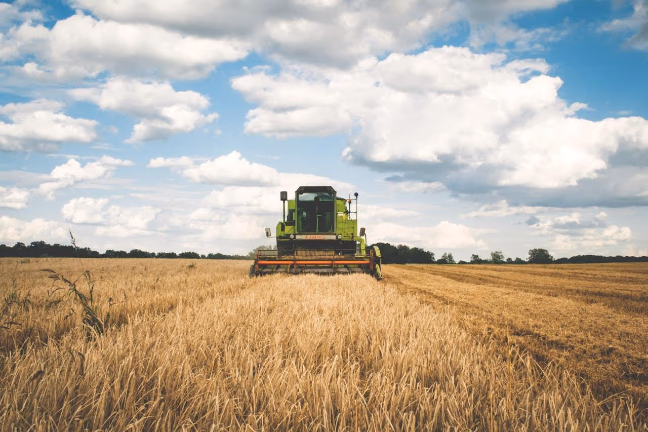 farming equipment in a wheat field