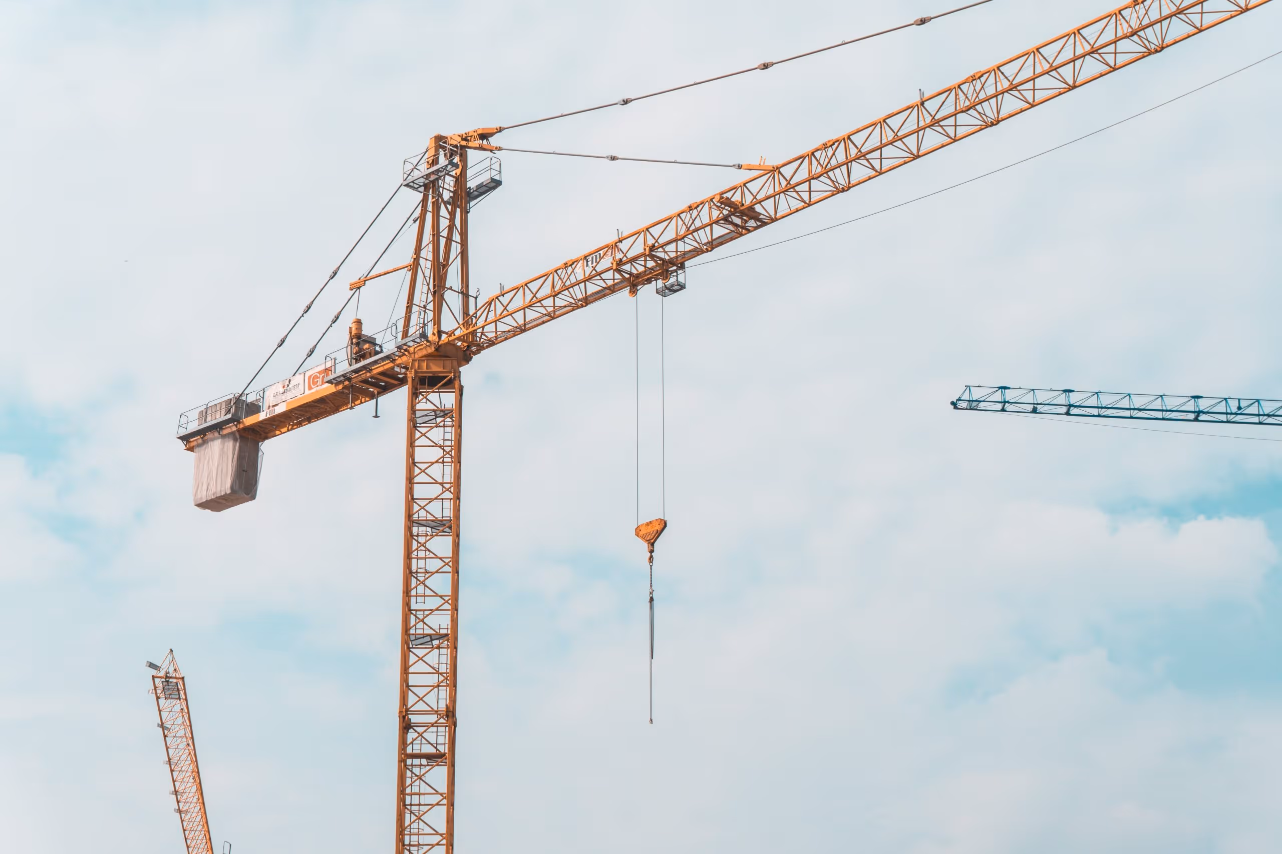 crane