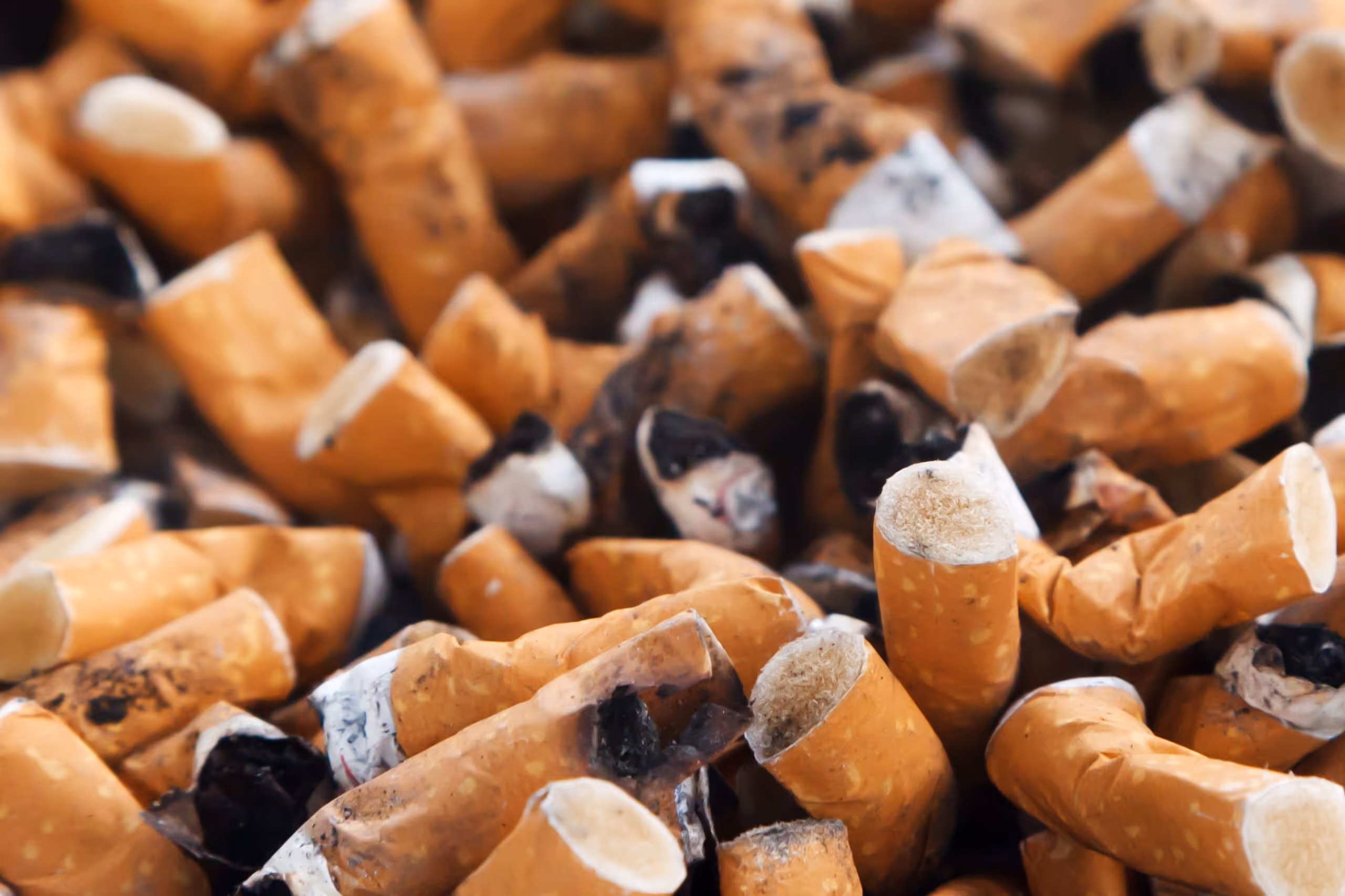 cigarette butts