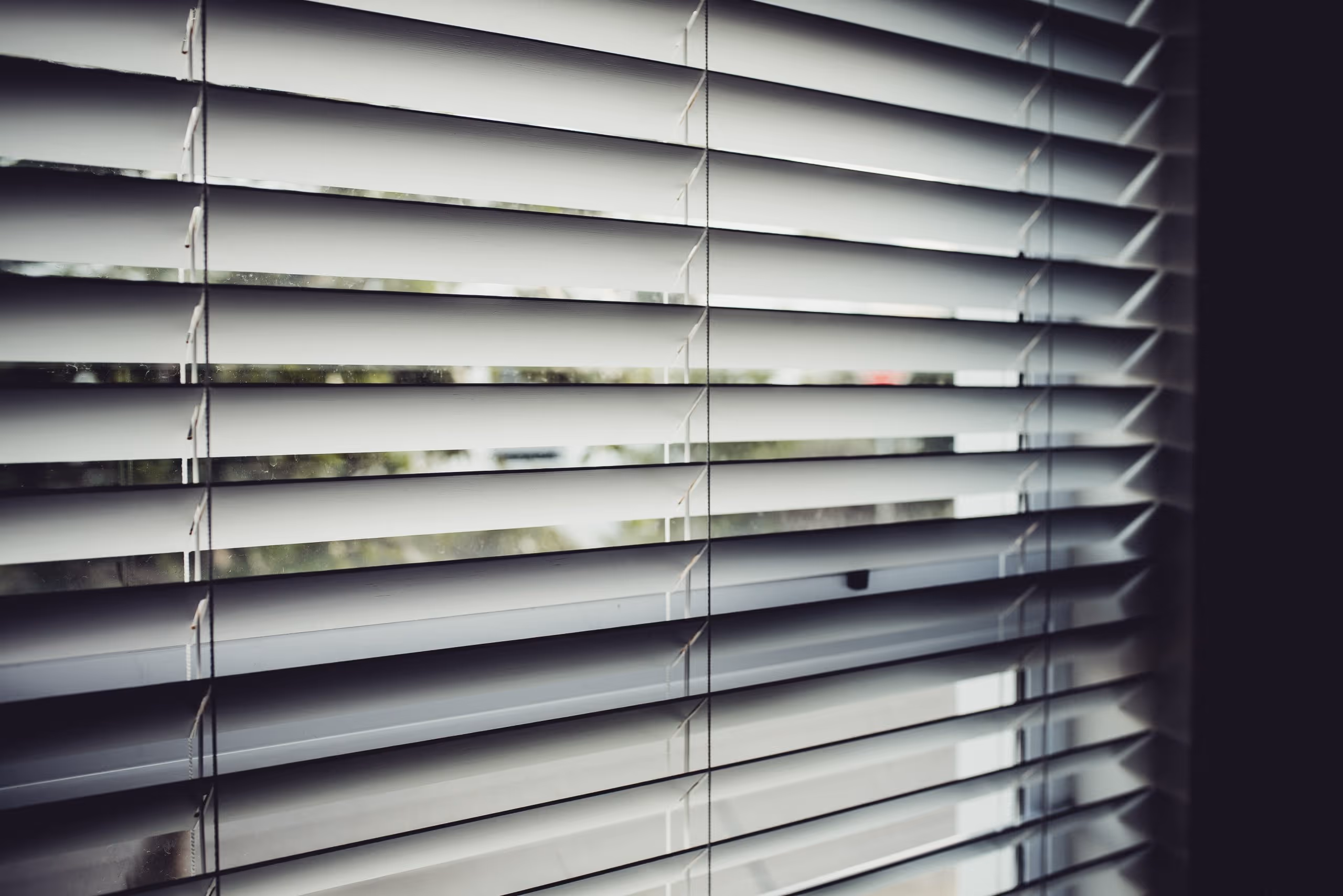 window blinds