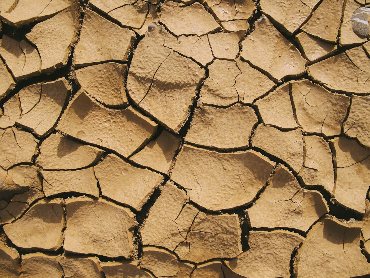 Soil cracking from a lack of water