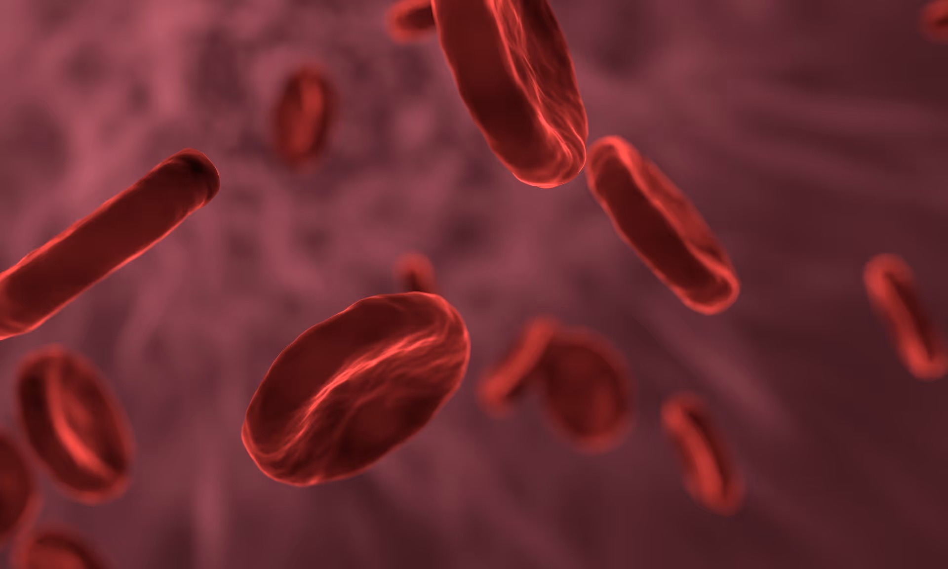 blood cells