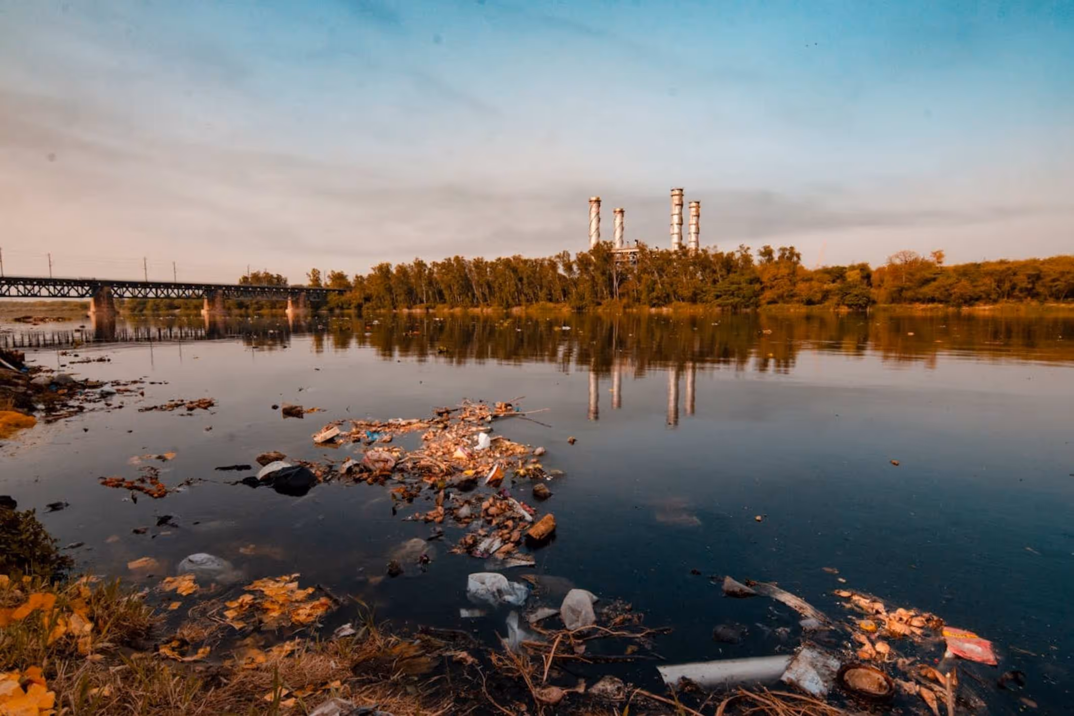 a polluted waterway