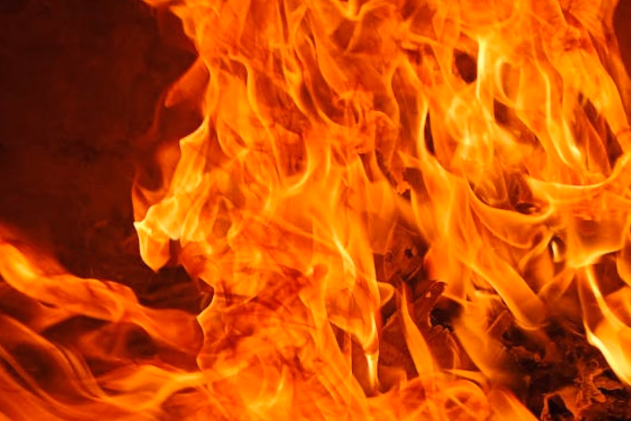 a wildfire burns through a forest, threatening communities